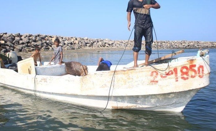 Kampfjets der saudischen Koalition vertreiben jemenitische Fischer von den Fischgründen