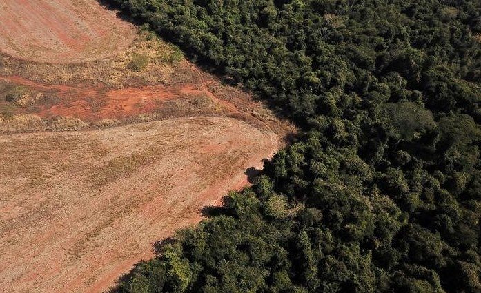 Brasilien will die Überwachung der Entwaldung im Cerrado trotz zunehmender Zerstörung einstellen