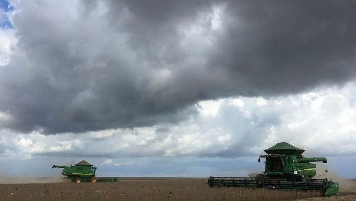 HEDGEpoint senkt die Schätzung der brasilianischen Sojabohnenernte 2021/22 um 6 Millionen Tonnen