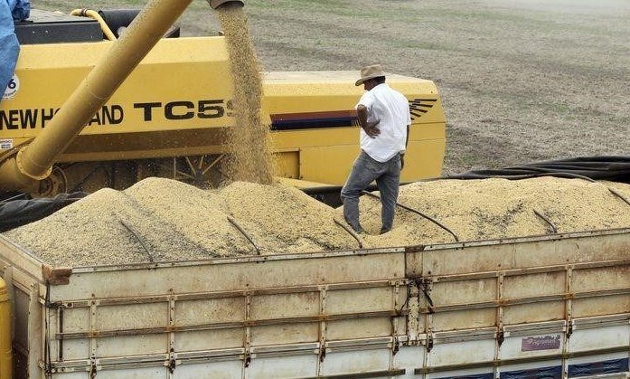 Laut Pátria AgroNegócios wird die brasilianische Sojabohnenernte 2021/22 auf 122 Millionen Tonnen reduziert