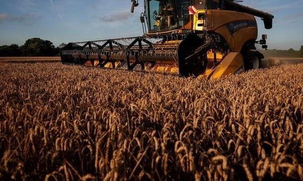 Französische Getreideernten sind trotz Kältewelle in guter Verfassung: Regierung