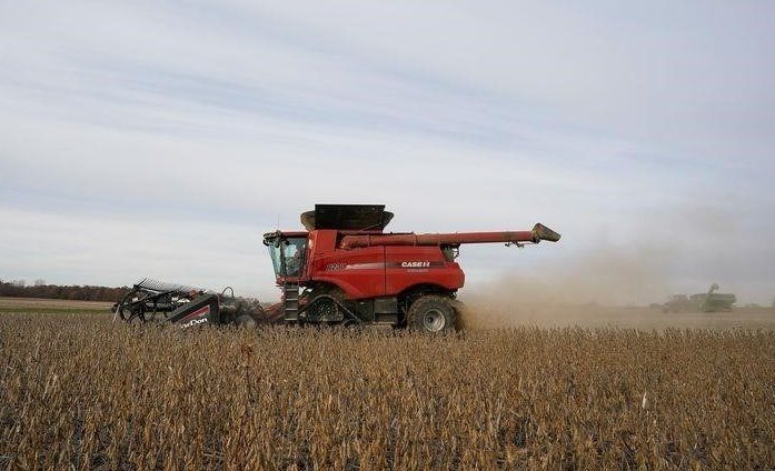 Sojabohnen und Weizen steigen in Chicago aufgrund geringer Bestände