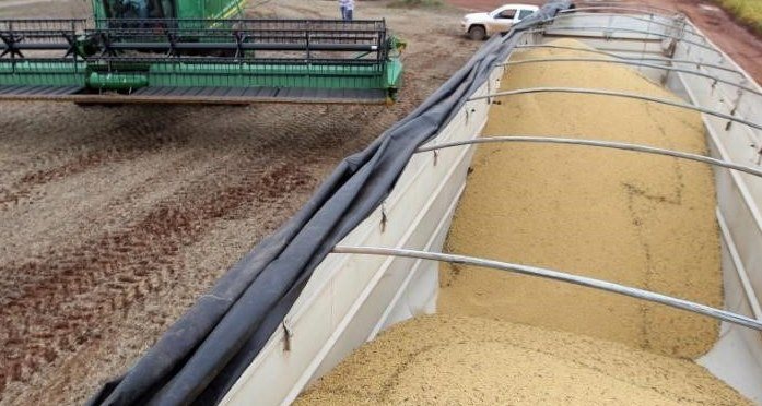 USDA senkt brasilianische Ernteprognose für 2021/2022 für Sojabohnen, erhöht die Prognose für Mais